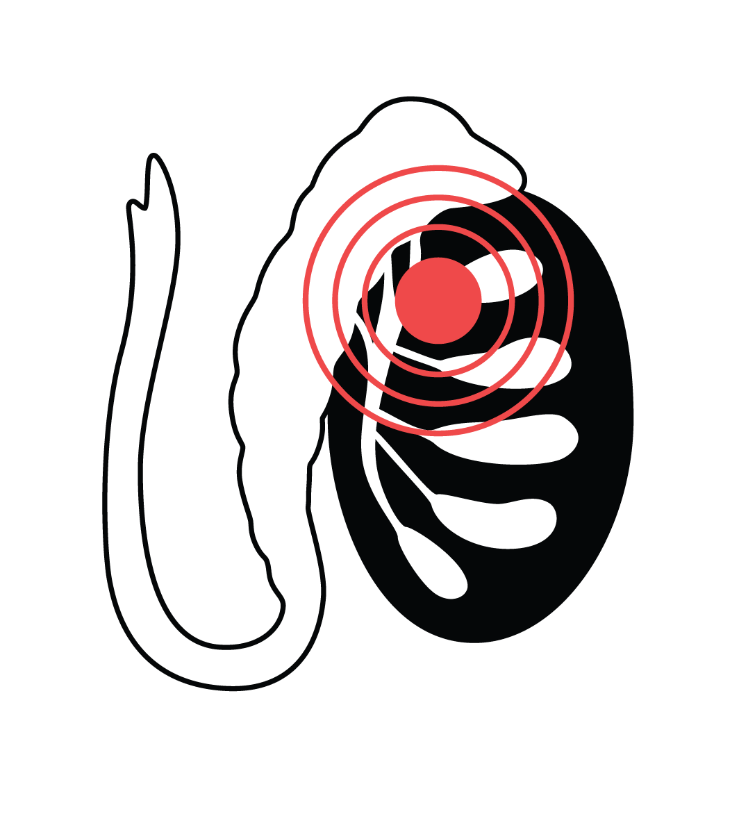Apka Muaalij | Icon Img