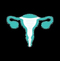 Gynecologist