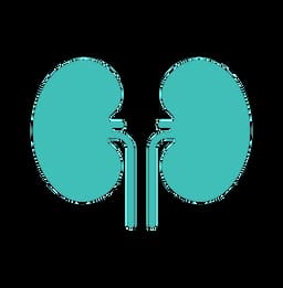 Urologist