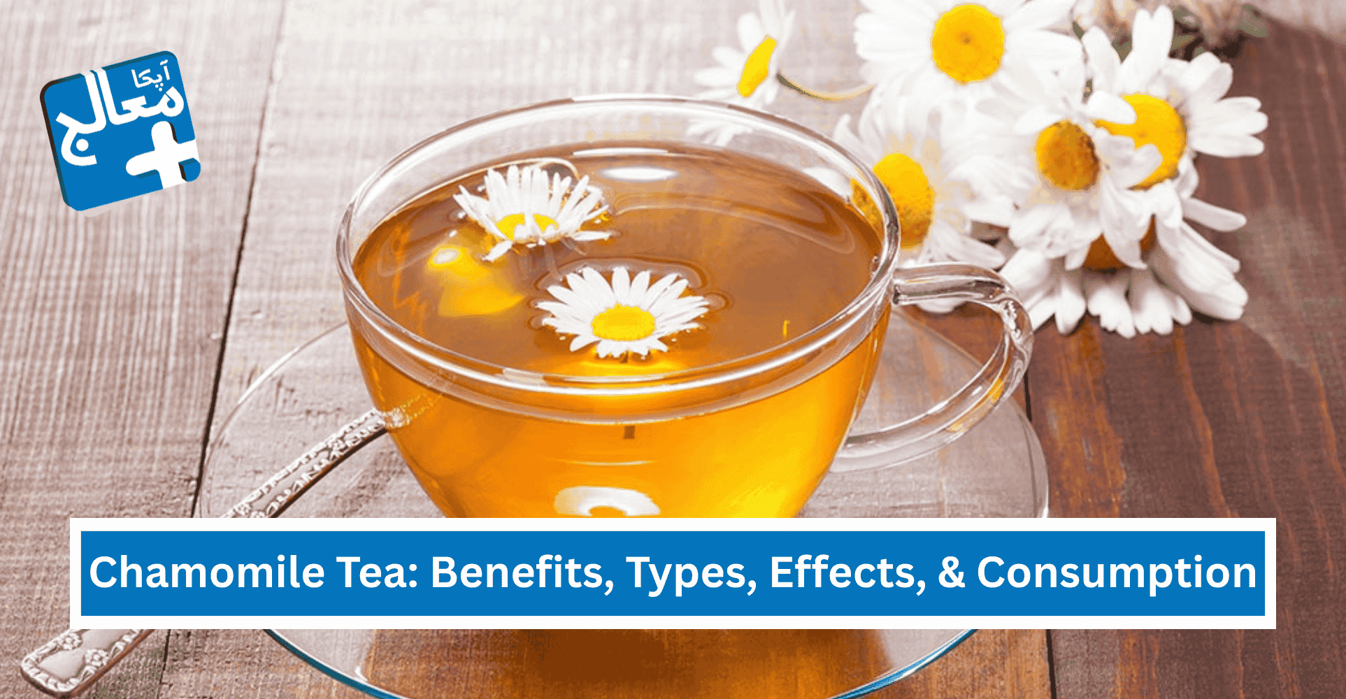 14 Benefits of Chamomile Tea, Types, Effects, Consumption & More | Apka Muaalij 14 Benefits of Chamomile Tea, Types, Effects, Consumption & More | Apka Muaalij