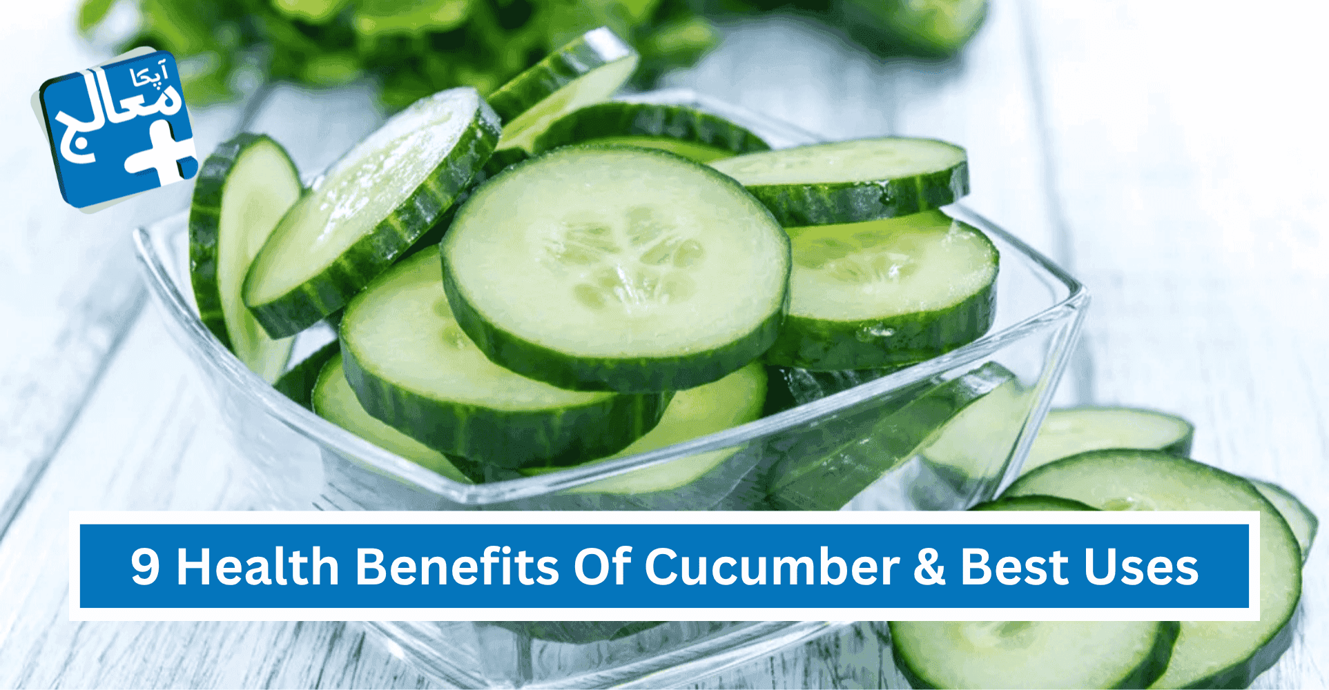 9 Powerful Health Benefits Of Cucumber, Nutrition Facts & Best Uses | Apka Muaalij 9 Powerful Health Benefits Of Cucumber, Nutrition Facts & Best Uses | Apka Muaalij