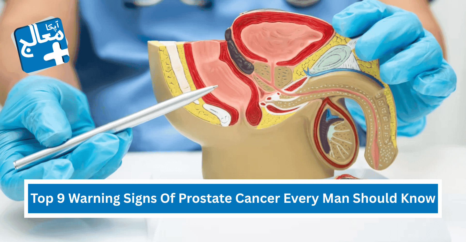 Top 9 Warning Signs Of Prostate Cancer Every Man Should Know | Apka Muaalij Top 9 Warning Signs Of Prostate Cancer Every Man Should Know | Apka Muaalij
