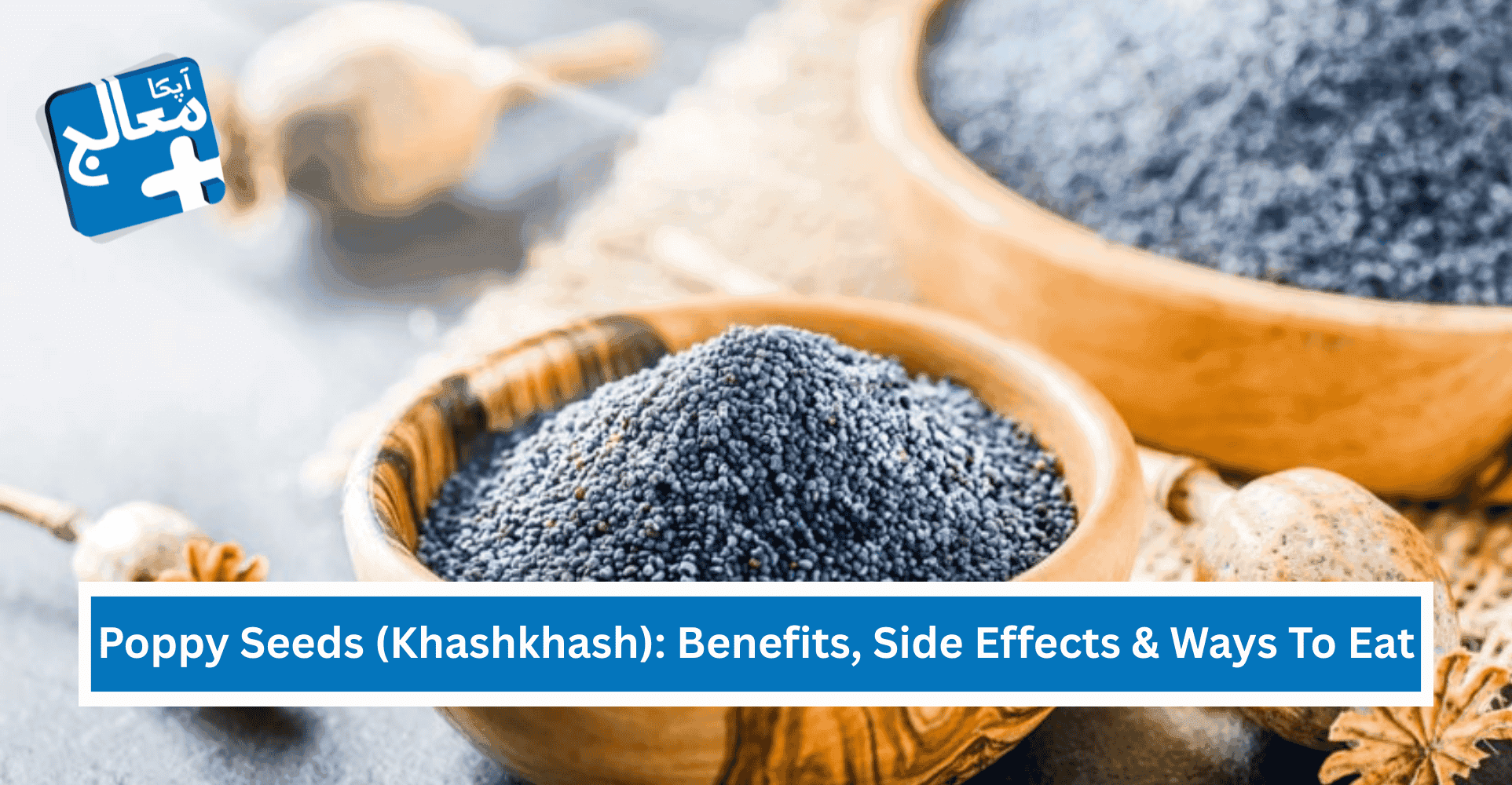 Poppy Seeds (Khashkhash): Benefits, Nutrition, Effects & Ways To Eat | Apka Muaalij Poppy Seeds (Khashkhash): Benefits, Nutrition, Effects & Ways To Eat | Apka Muaalij