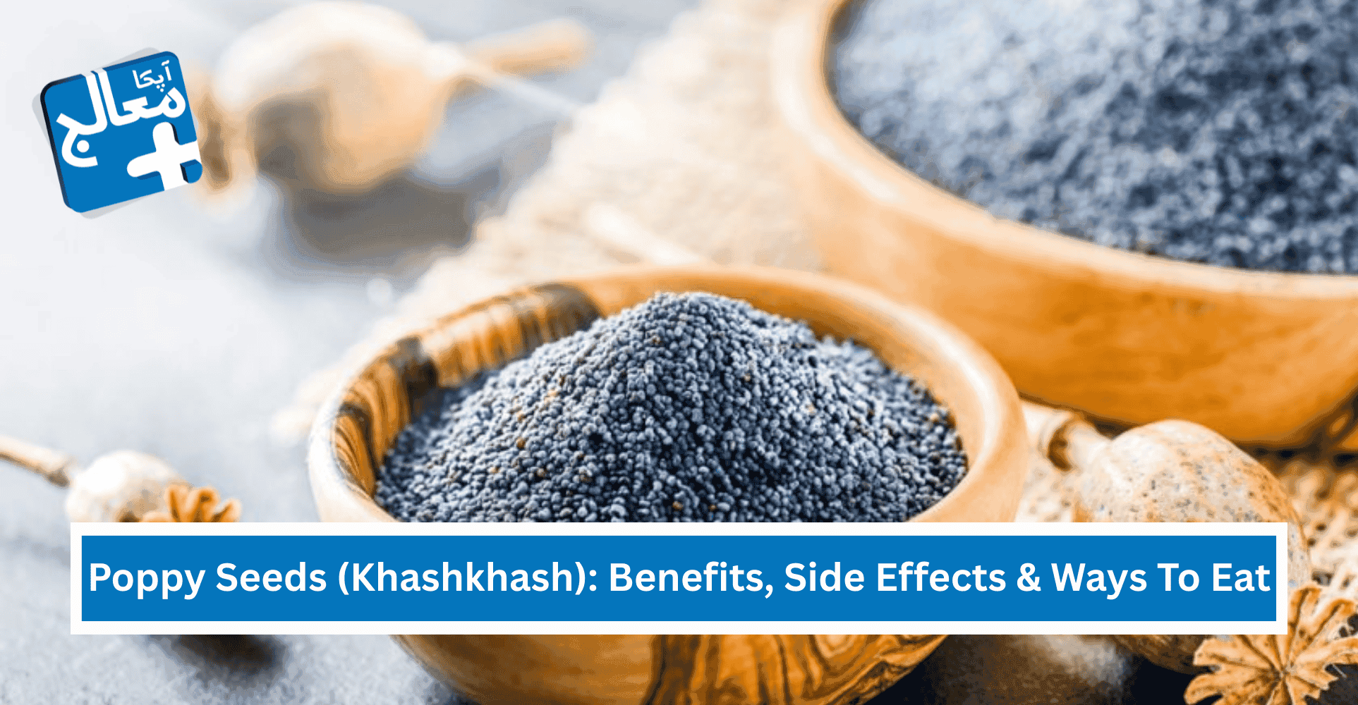 Poppy Seeds (Khashkhash): Benefits, Nutrition, Effects & Ways To Eat | Apka Muaalij Poppy Seeds (Khashkhash): Benefits, Nutrition, Effects & Ways To Eat | Apka Muaalij