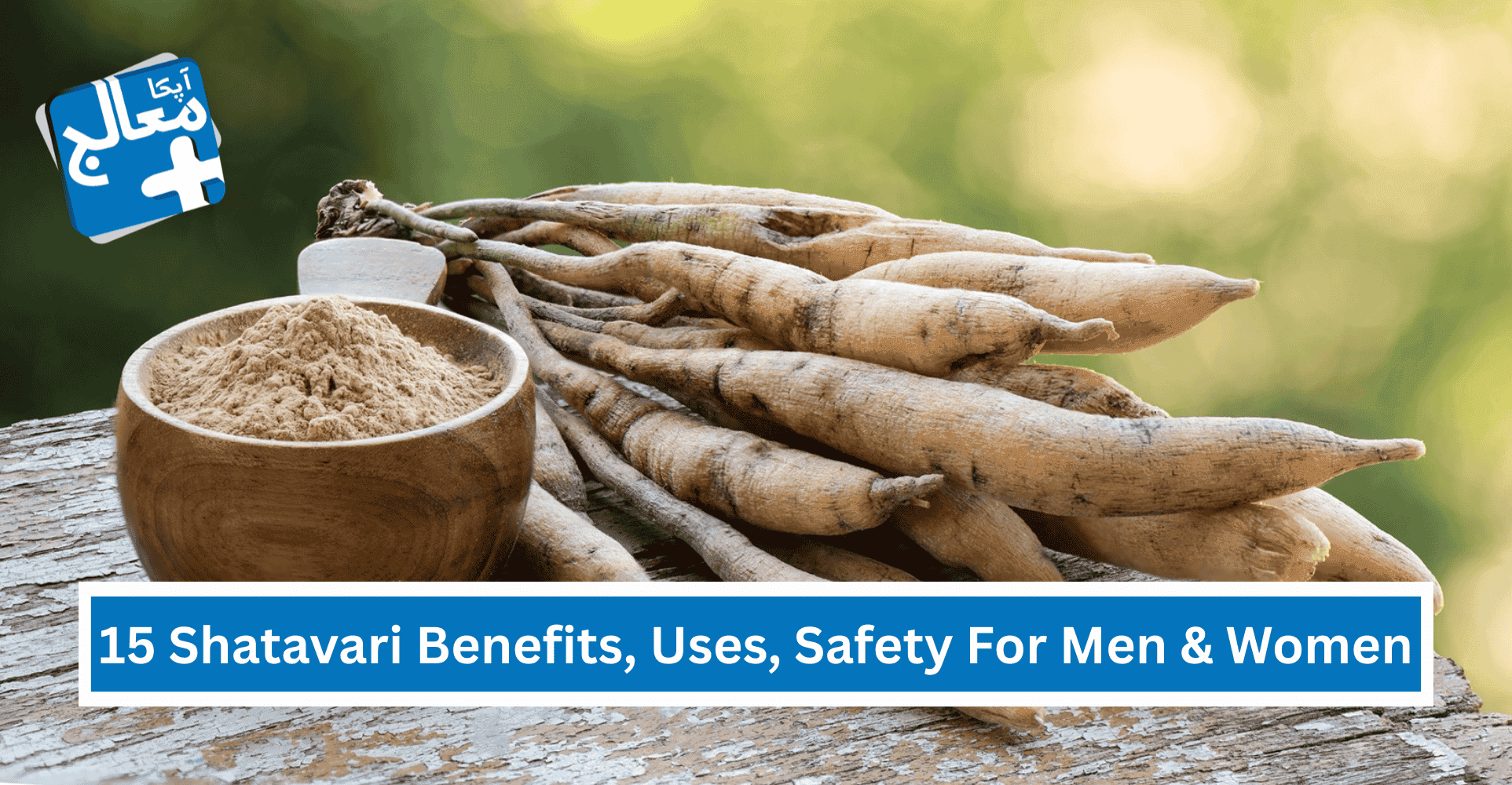 15 Incredible Shatavari Benefits, How To Use, Safety For Men & Women | Apka Muaalij 15 Incredible Shatavari Benefits, How To Use, Safety For Men & Women | Apka Muaalij