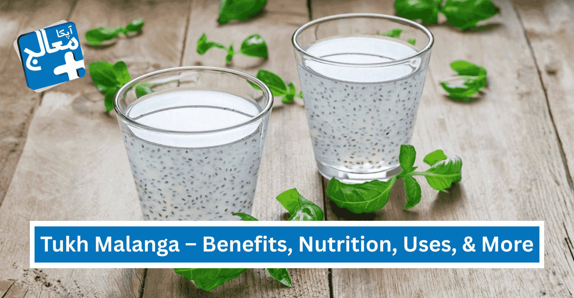 18 Incredible Benefits Of Tukh Malanga (Basil Seeds) | Nutrition, Uses, & More | Apka Muaalij 18 Incredible Benefits Of Tukh Malanga (Basil Seeds) | Nutrition, Uses, & More | Apka Muaalij
