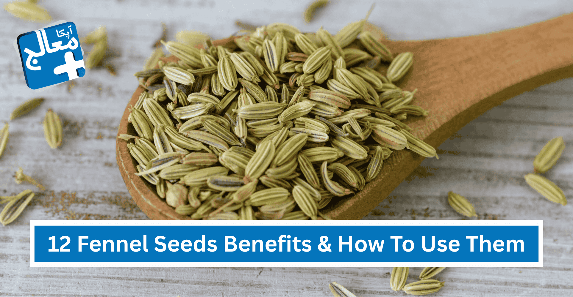 12 Incredible Health Benefits Of Fennel Seeds & How To Use Them | Apka Muaalij 12 Incredible Health Benefits Of Fennel Seeds & How To Use Them | Apka Muaalij