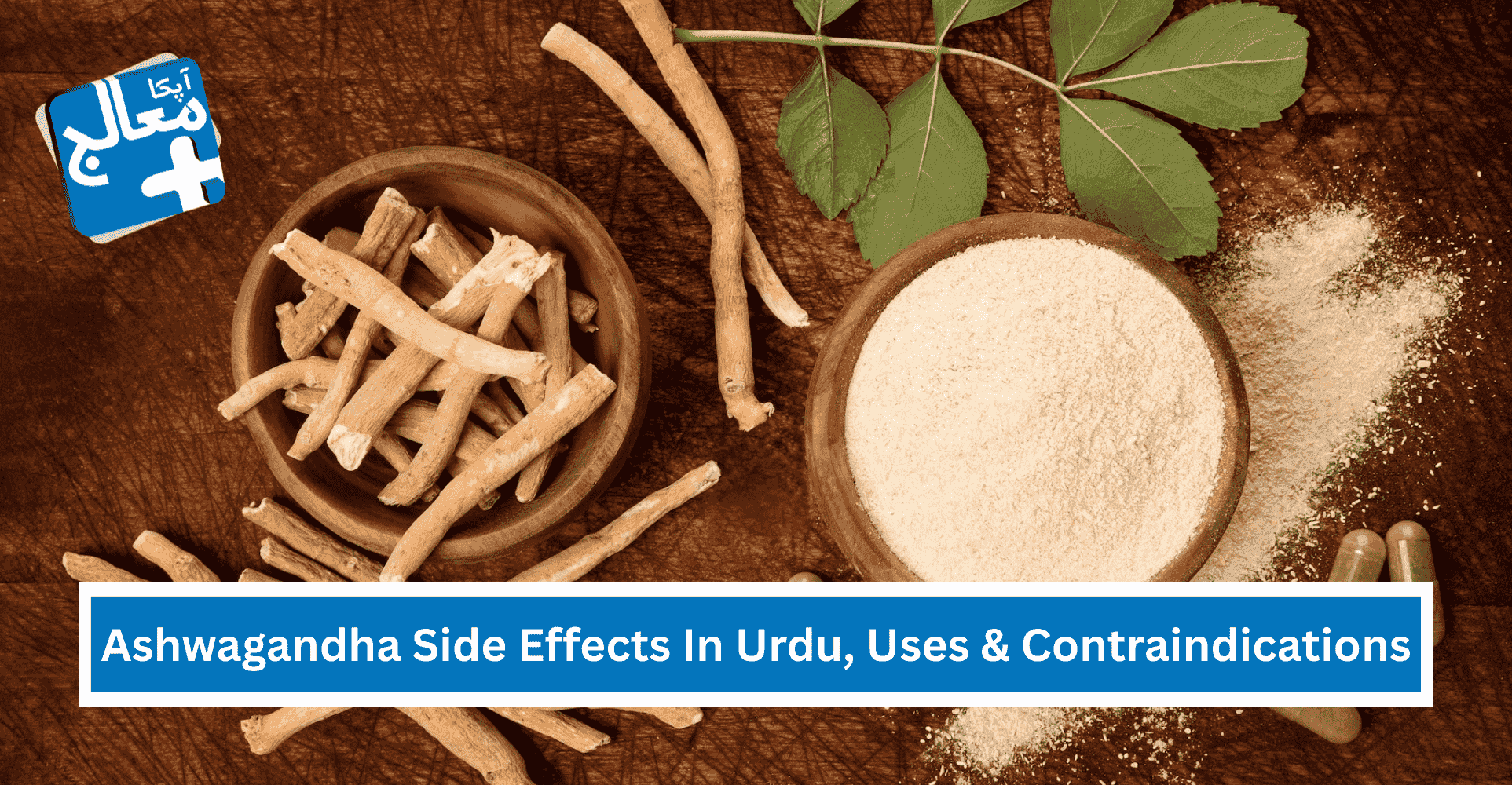 Ashwagandha Side Effects In Urdu, Uses & Contraindications (اشوگندھا کے سائیڈ ایفیکٹس) | Apka Muaalij Ashwagandha Side Effects In Urdu, Uses & Contraindications (اشوگندھا کے سائیڈ ایفیکٹس) | Apka Muaalij