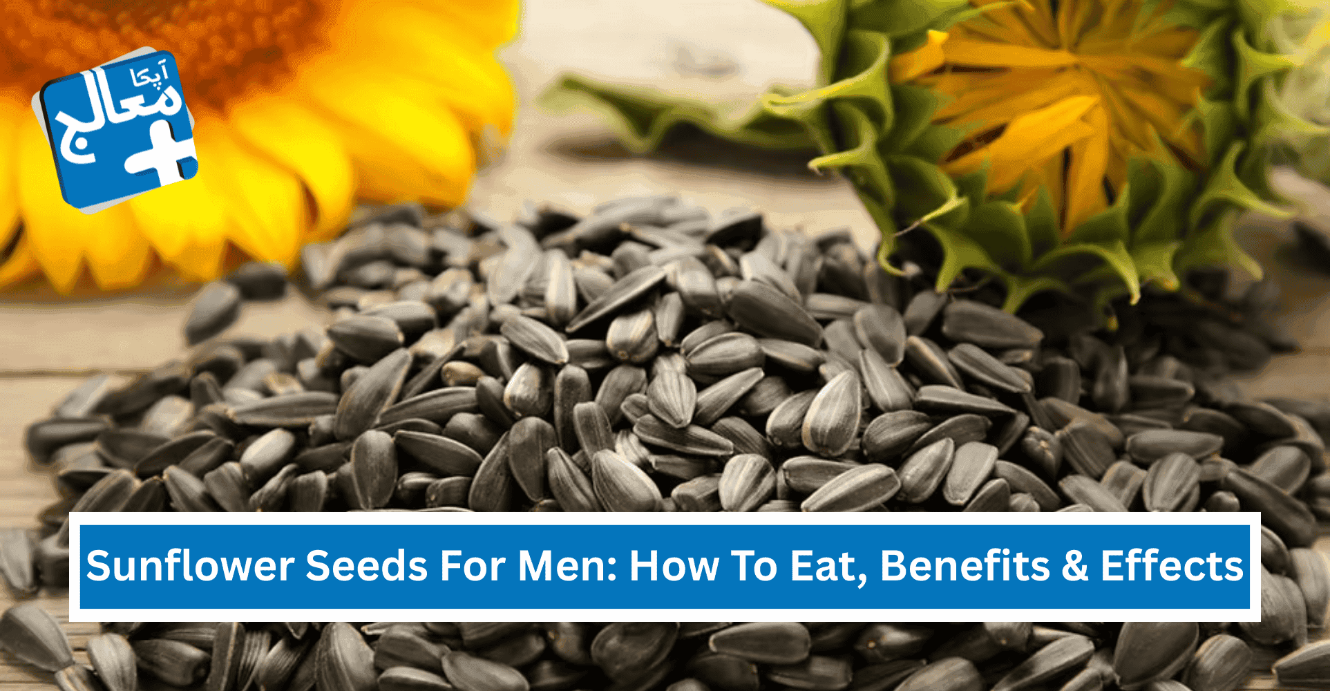 Sunflower Seeds For Men: How To Eat, Benefits & Effects | Apka Muaalij Sunflower Seeds For Men: How To Eat, Benefits & Effects | Apka Muaalij