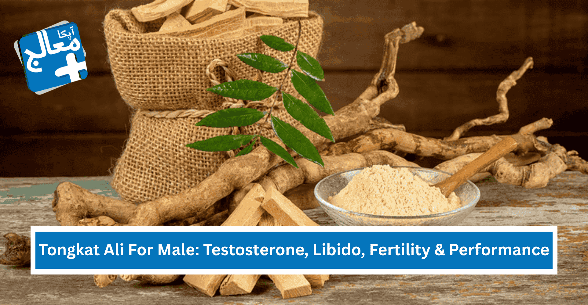 Tongkat Ali Benefits For Male: Testosterone, Libido, Fertility & Performance | Apka Muaalij Tongkat Ali Benefits For Male: Testosterone, Libido, Fertility & Performance | Apka Muaalij