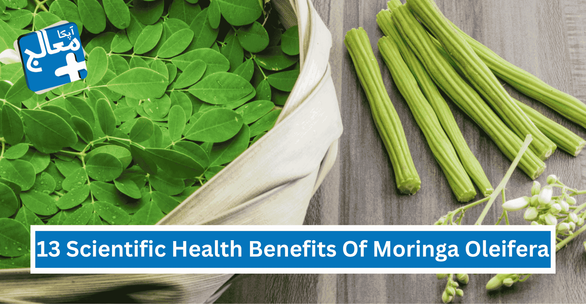 Apka Muaalij | 13 Scientific Health Benefits Of Moringa Oleifera For Men & Women