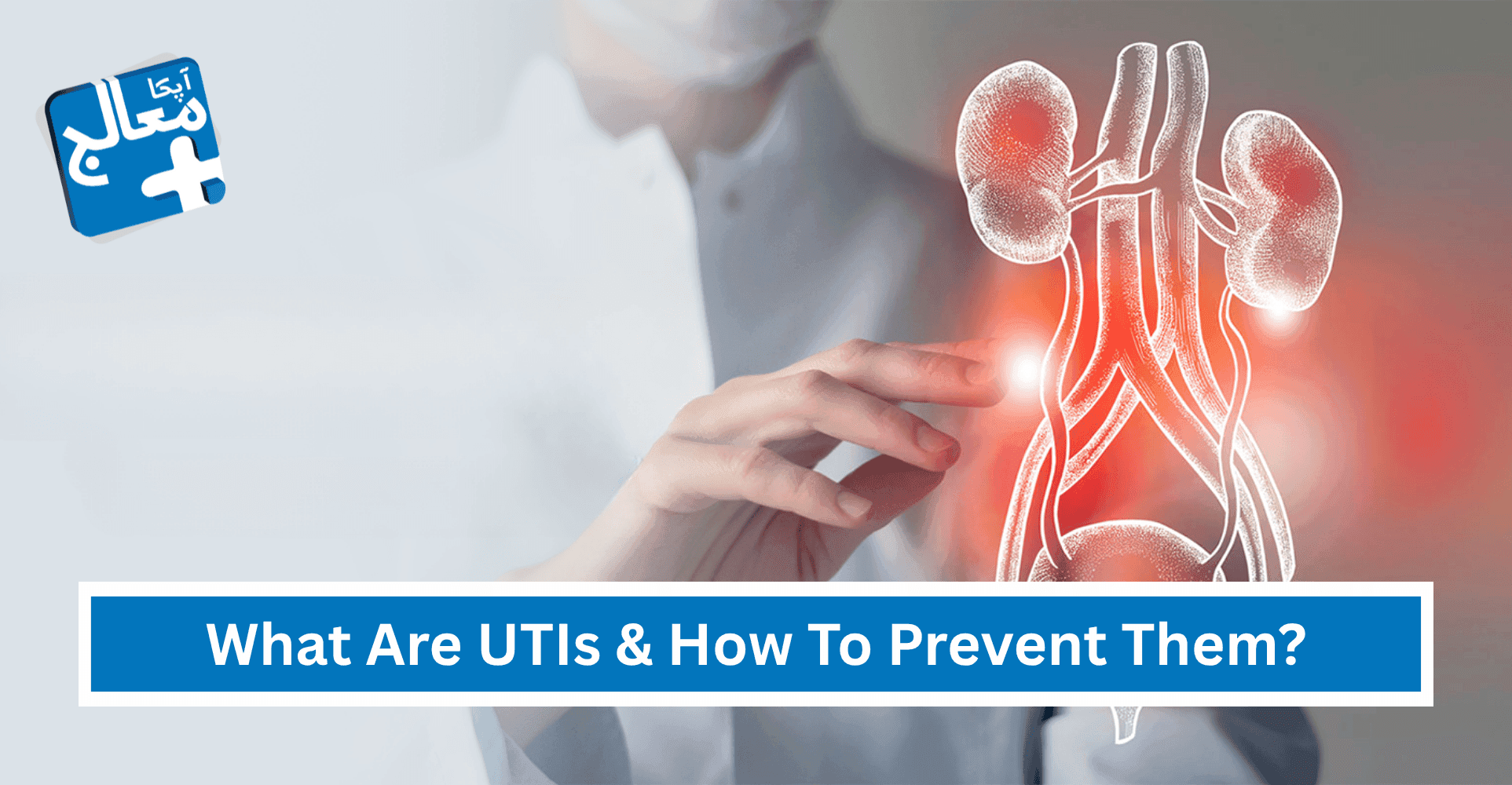 Urinary Tract Infections (UTIs): What Is It & How To Prevent? | Apka Muaalij Urinary Tract Infections (UTIs): What Is It & How To Prevent? | Apka Muaalij