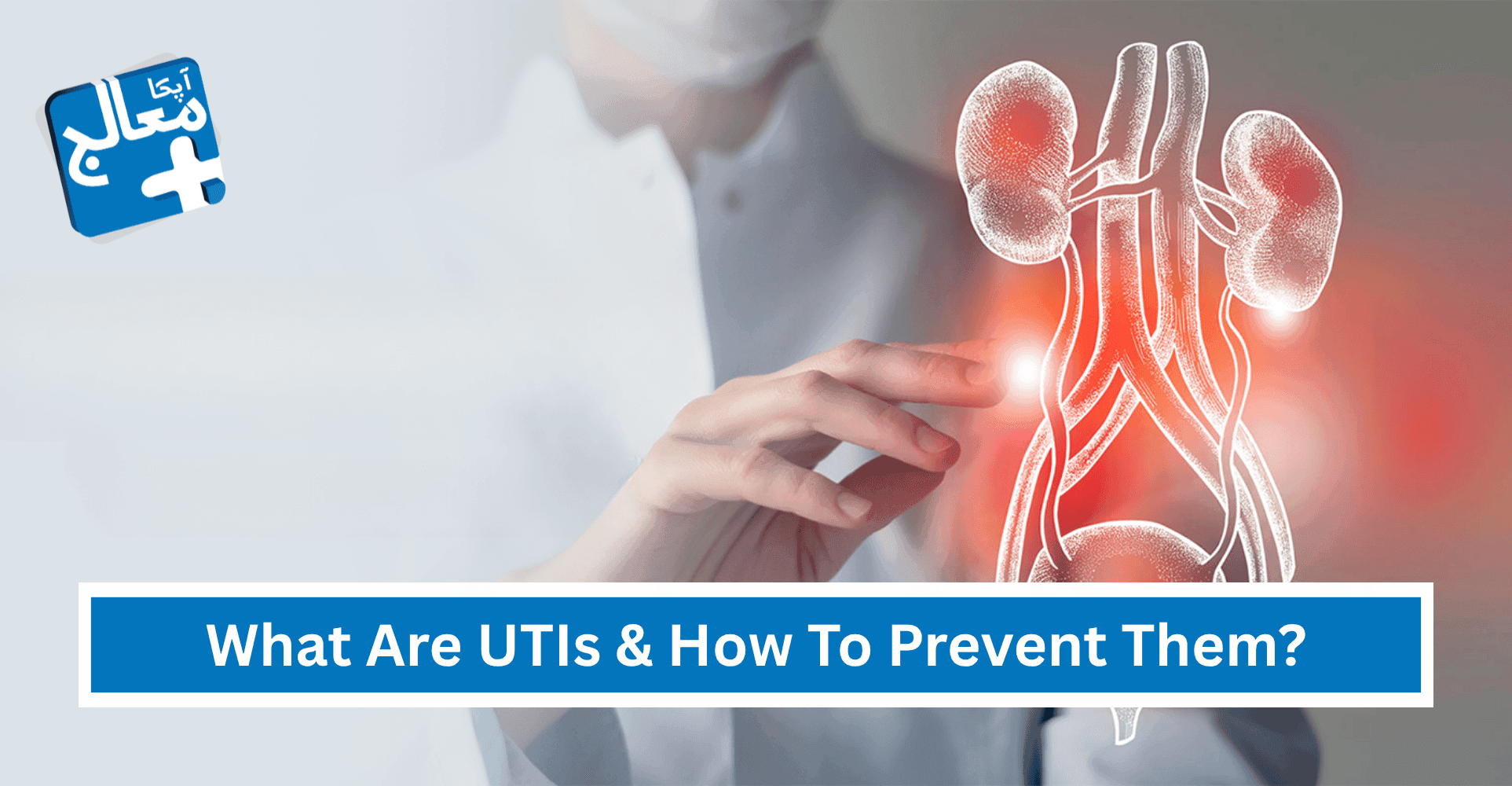 Urinary Tract Infections (UTIs): What Is It & How To Prevent? | Apka Muaalij Urinary Tract Infections (UTIs): What Is It & How To Prevent? | Apka Muaalij