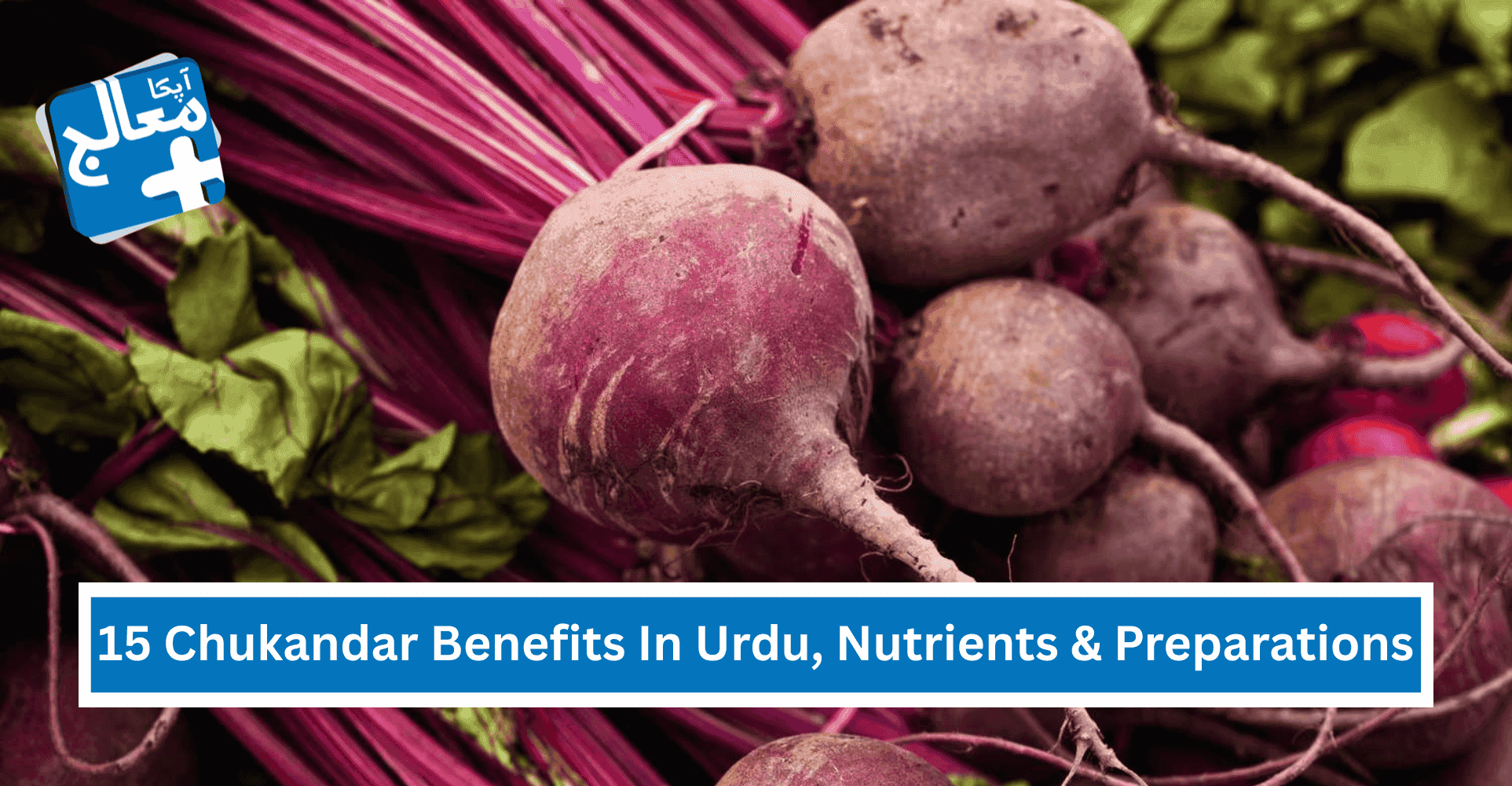 15 Amazing Chukandar Benefits In Urdu, Nutrients & Preparations | Apka Muaalij 15 Amazing Chukandar Benefits In Urdu, Nutrients & Preparations | Apka Muaalij